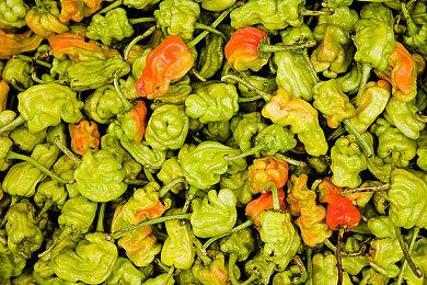 《幻兽帕鲁》PS5版玩家反映存档丢失BUG 官方证实尽快修复